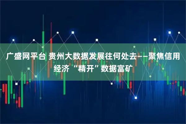 广盛网平台 贵州大数据发展往何处去——聚焦信用经济 “精开”数据富矿