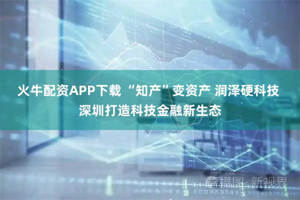 火牛配资APP下载 “知产”变资产 润泽硬科技 深圳打造科技金融新生态