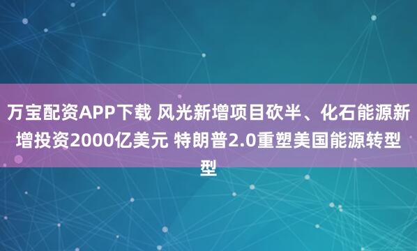 万宝配资APP下载 风光新增项目砍半、化石能源新增投资2000亿美元 特朗普2.0重塑美国能源转型